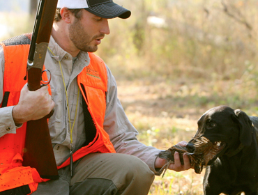 Quayle, dove, duck hunting